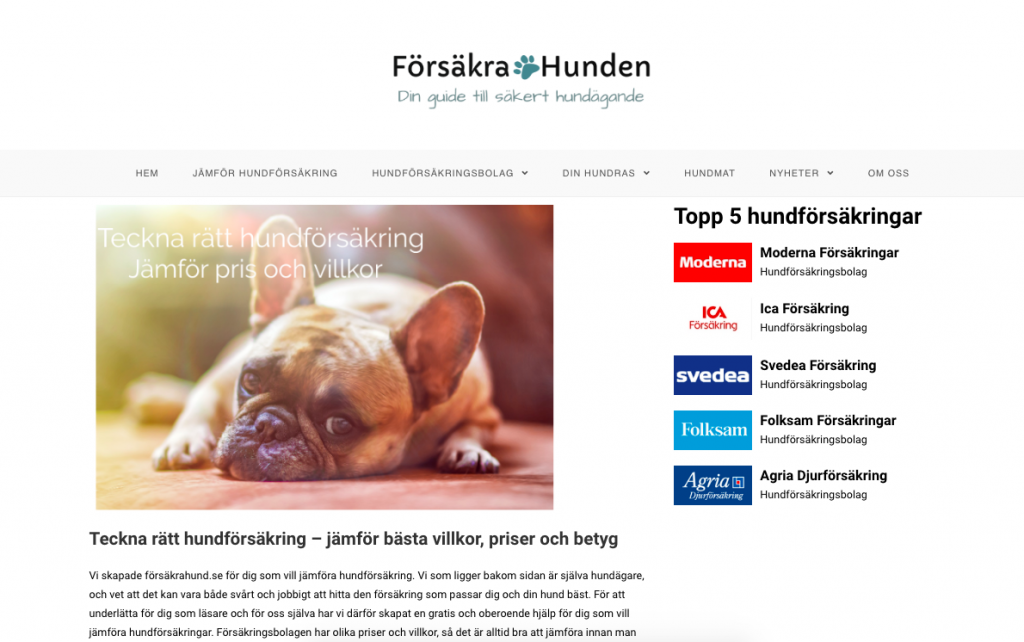 Jämför hundförsäkring