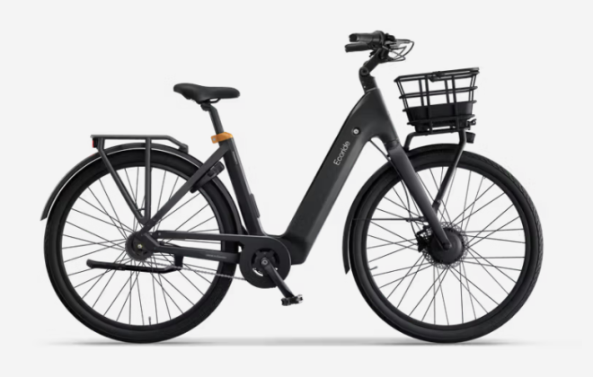 ecoride ambassador